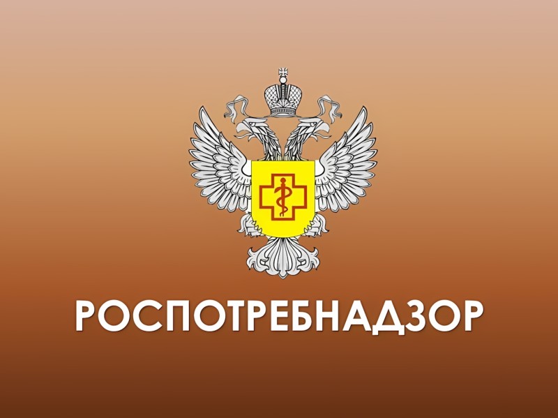 Основные требования при организации ярмарочной торговли и оказании услуг общественного питания на ярмарках.