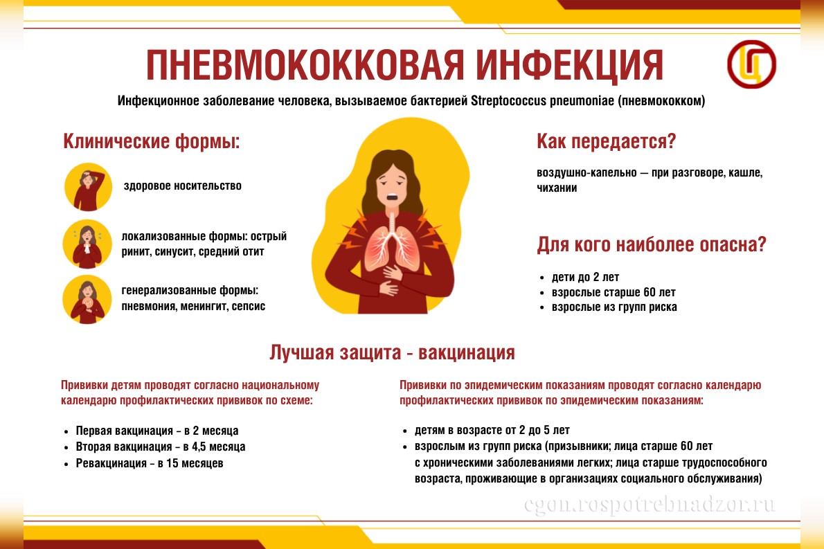 Пневмококковая инфекция.