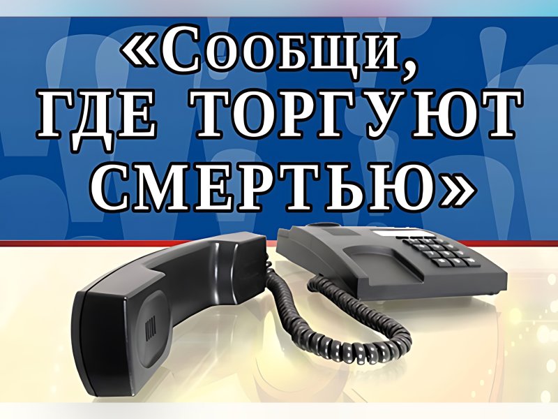 В Вологодской области проходит ежегодная Общероссийская акция «Сообщи, где торгуют смертью»..