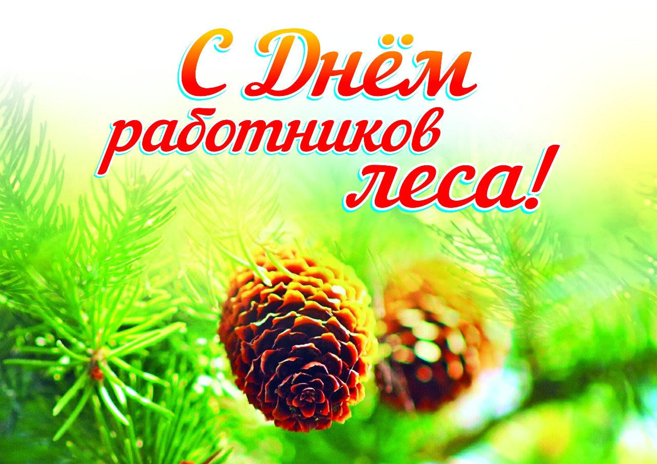 С Днём работников леса, тотьмичи!.