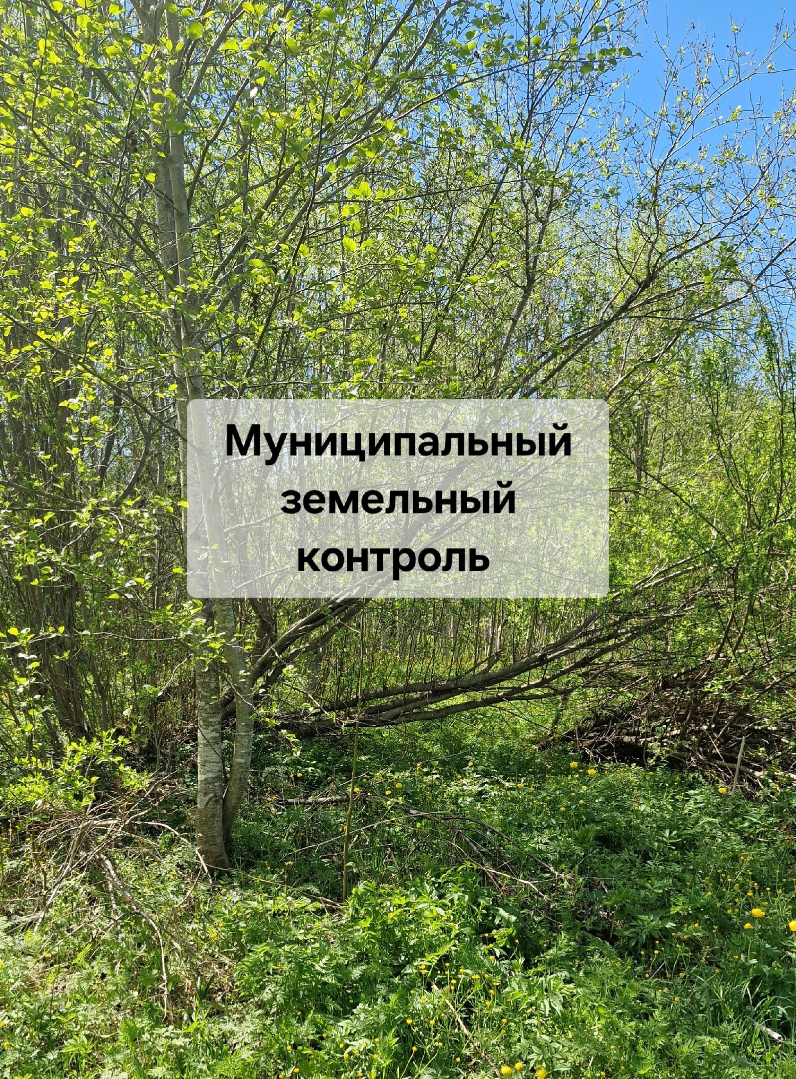 Земельные инспекторы Тотемского округа приступили к проведению выездных обследований земельных участков!.