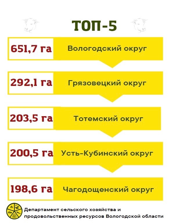 В регионе заканчиваются вторичные обработки борщевика Сосновского на землях населенных пунктов.