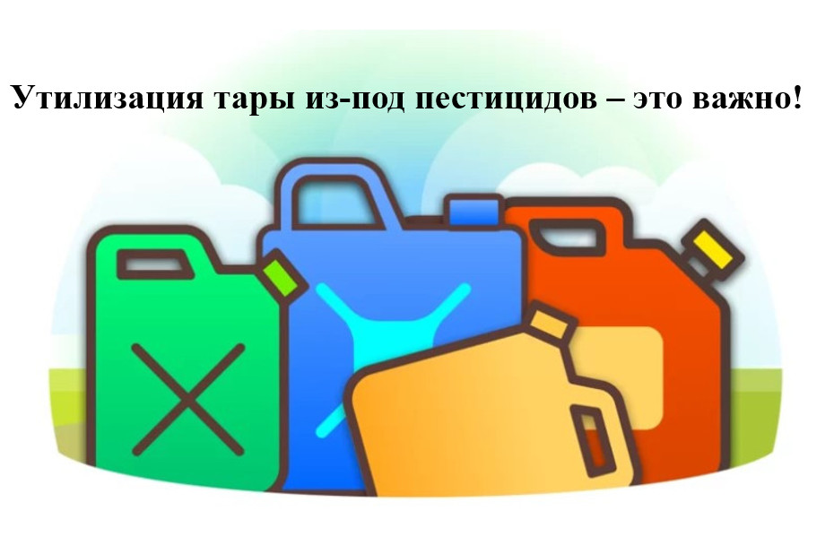 О необходимости правильно и своевременно утилизировать тару из-под пестицидов.