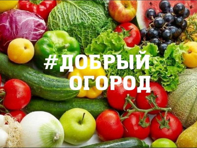 Конкурс #Добрыйогород.