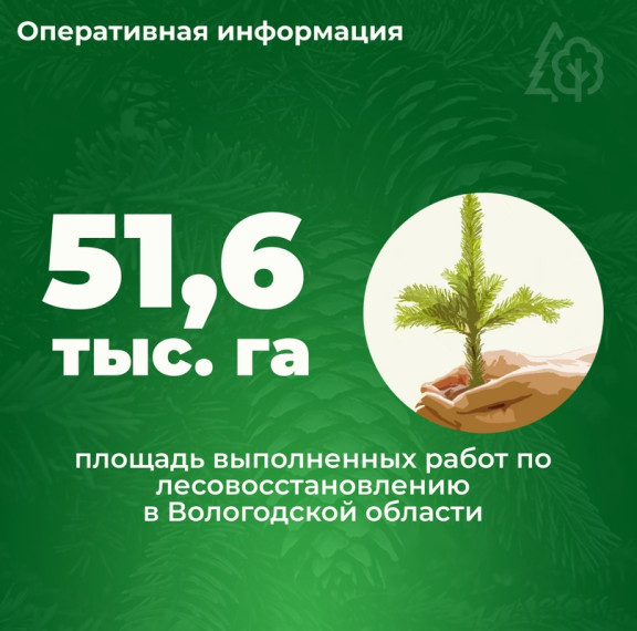 ЛЕСОВОССТАНОВЛЕНИЕ В ЦИФРАХ. ЛЕСОВОССТАНОВЛЕНИЕ В ЦИФРАХ.