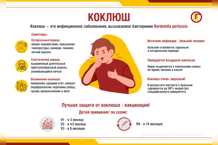 Профилактика коклюша. Профилактика коклюша.