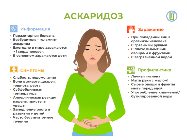Меры профилактики аскаридоза. Меры профилактики аскаридоза.
