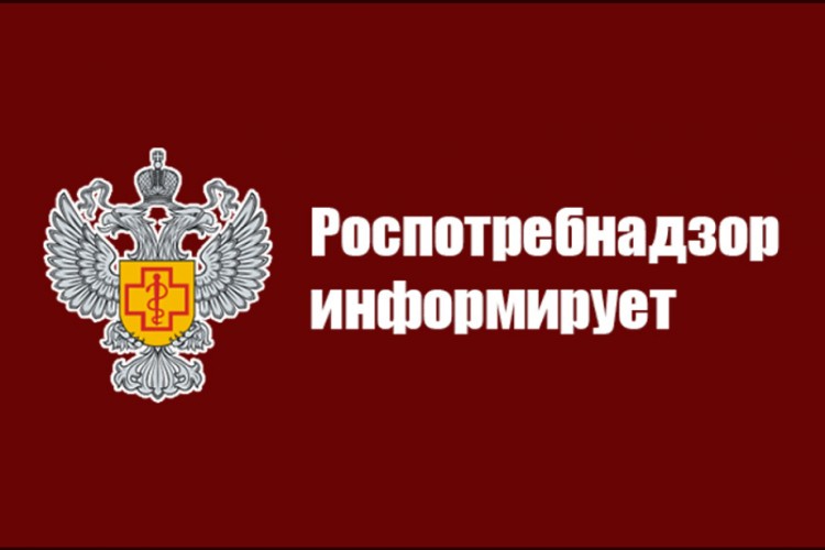 О предприятии-призраке ООО «Чиполлино». О предприятии-призраке ООО «Чиполлино».