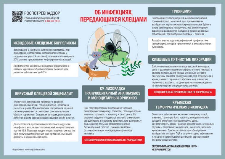 Мониторинг за клещевыми инфекциями на 30.06.2025г.. Мониторинг за клещевыми инфекциями на 30.06.2025г..