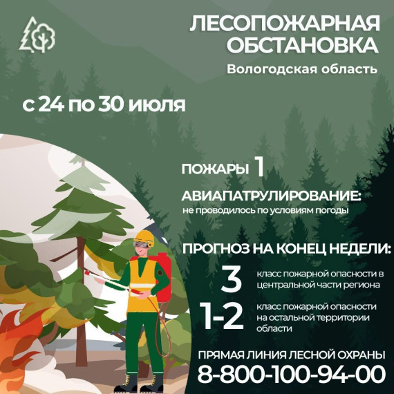 О лесных пожарах в области. О лесных пожарах в области.